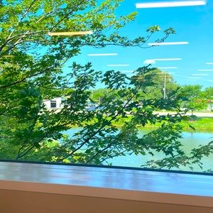 Meet your Posher, Nela